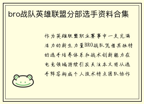 bro战队英雄联盟分部选手资料合集